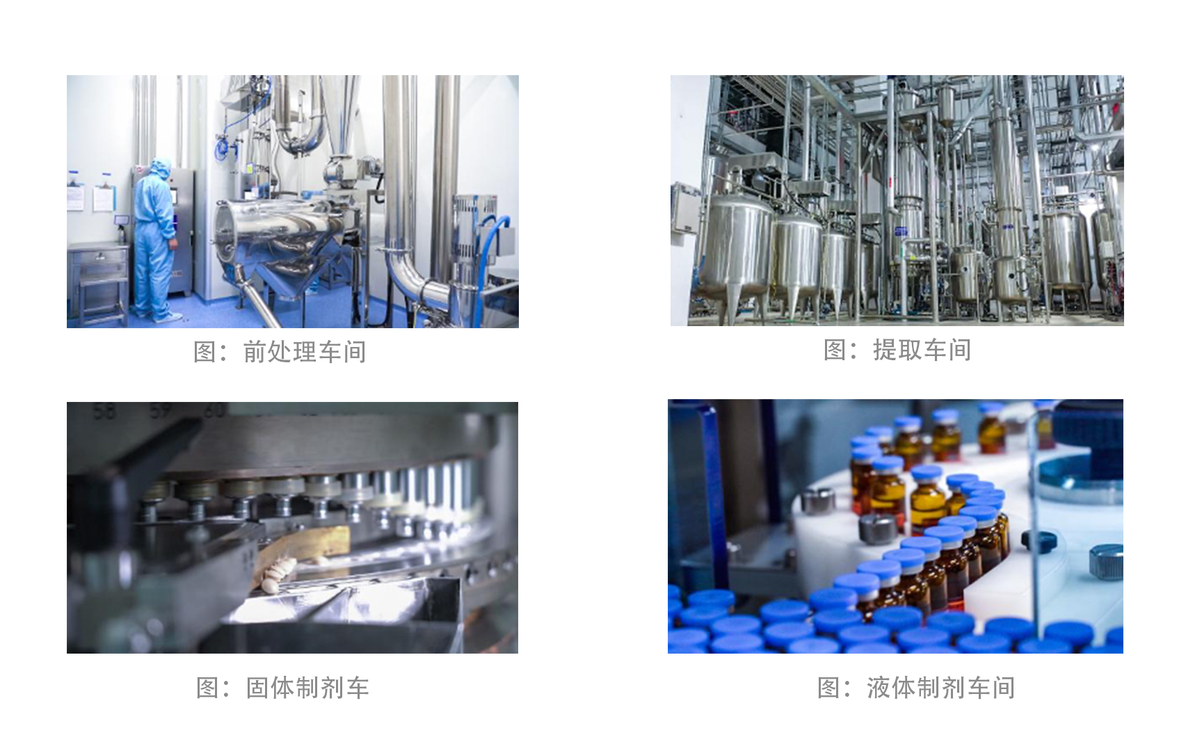 樂康4.jpg 樂康4.jpg