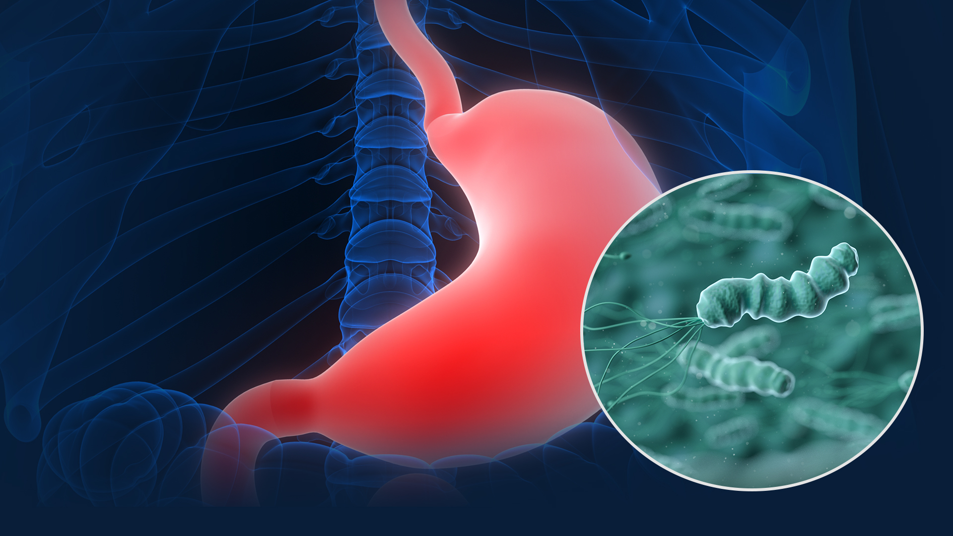 微信圖片_20231214141735.jpg 微信圖片_20231214141735.jpg