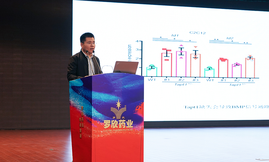 DSC02455.jpg DSC02455.jpg